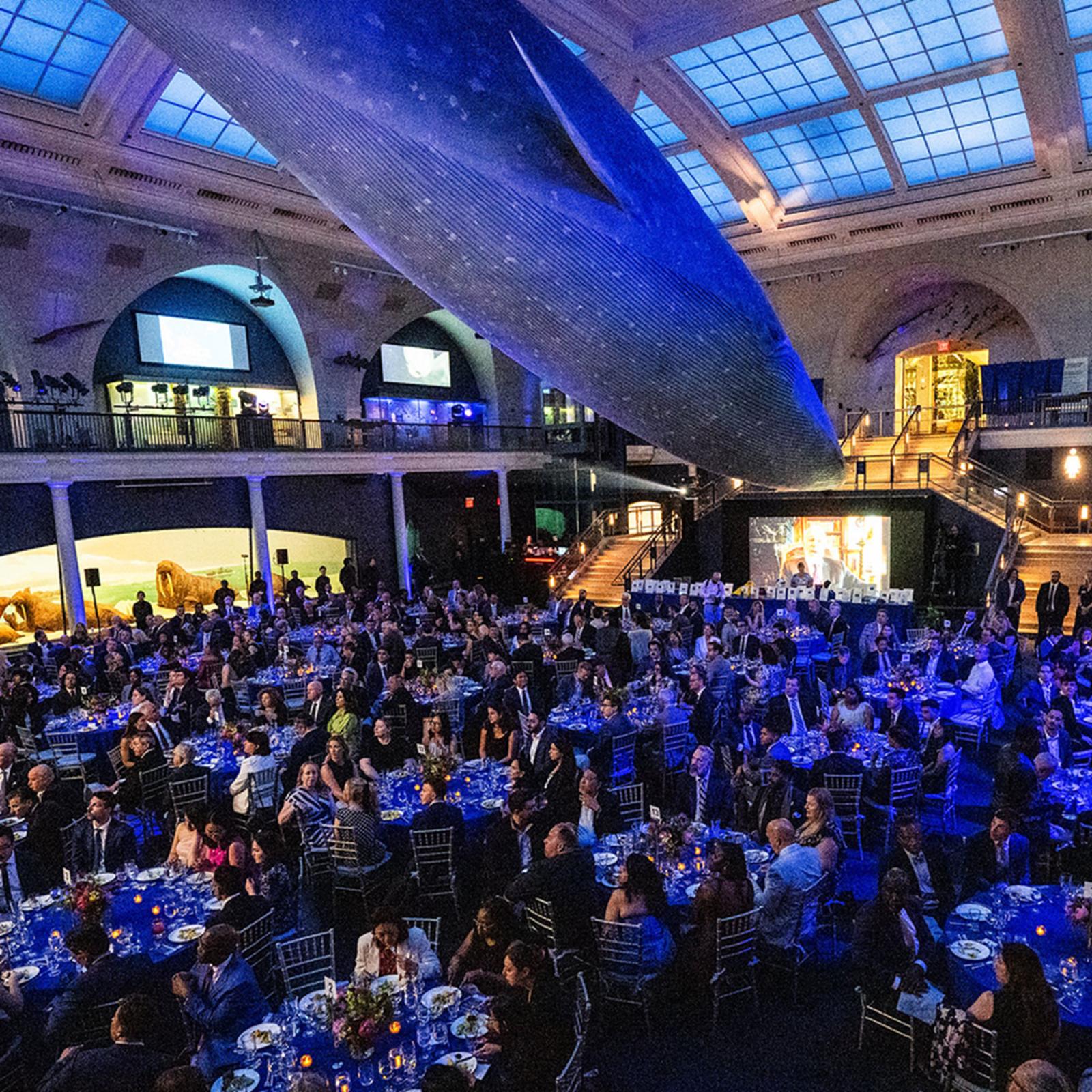 Group of Pace University Alumni at the Spirit of Pace Awards held at the American Museum of Natural History.