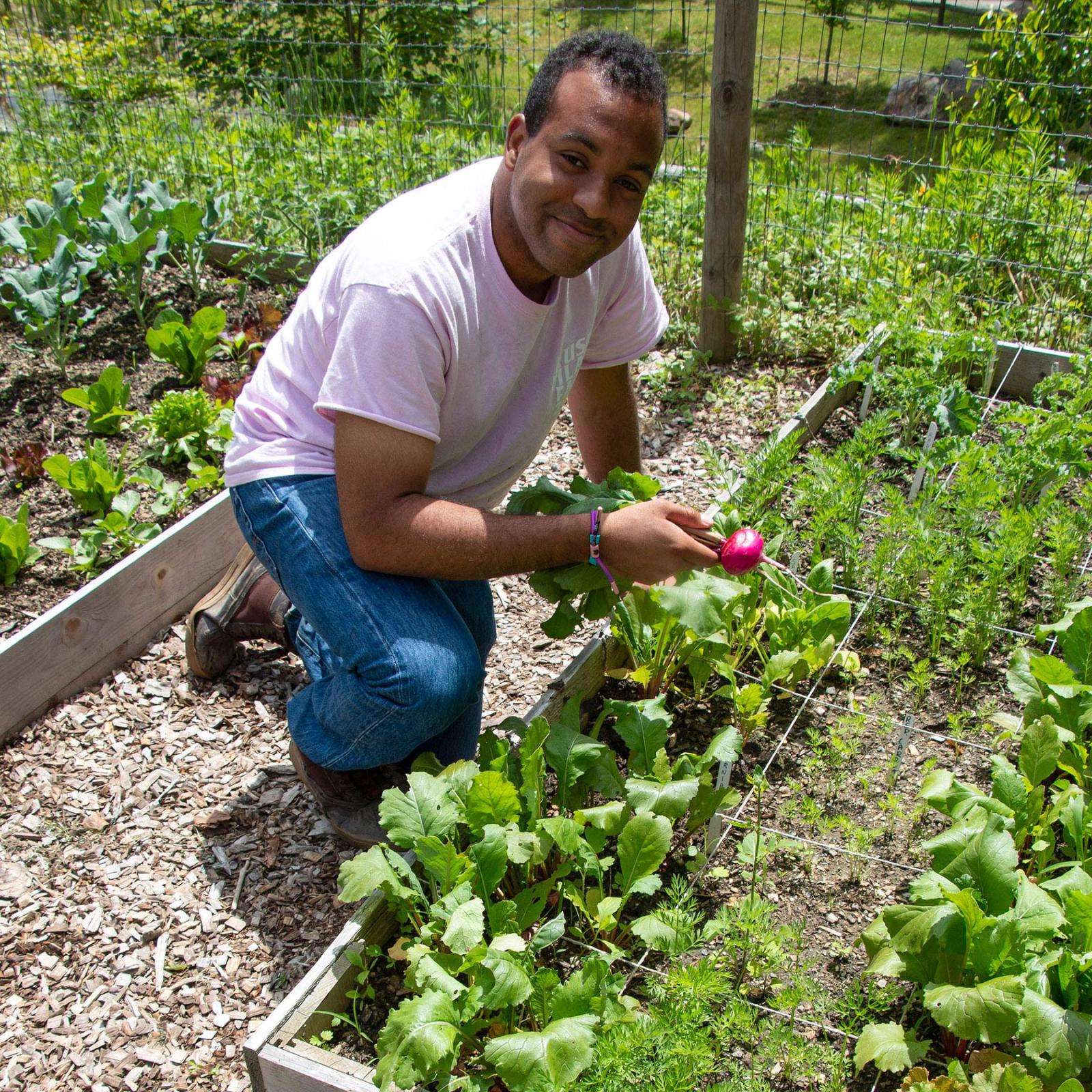 Pace University student, Jonathan, kneeling down working in the vegetable garden
