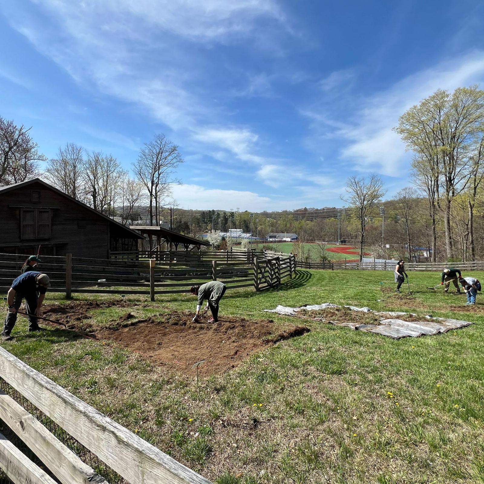 Group of volunteers working with the land on a Pace University Conservation Center project