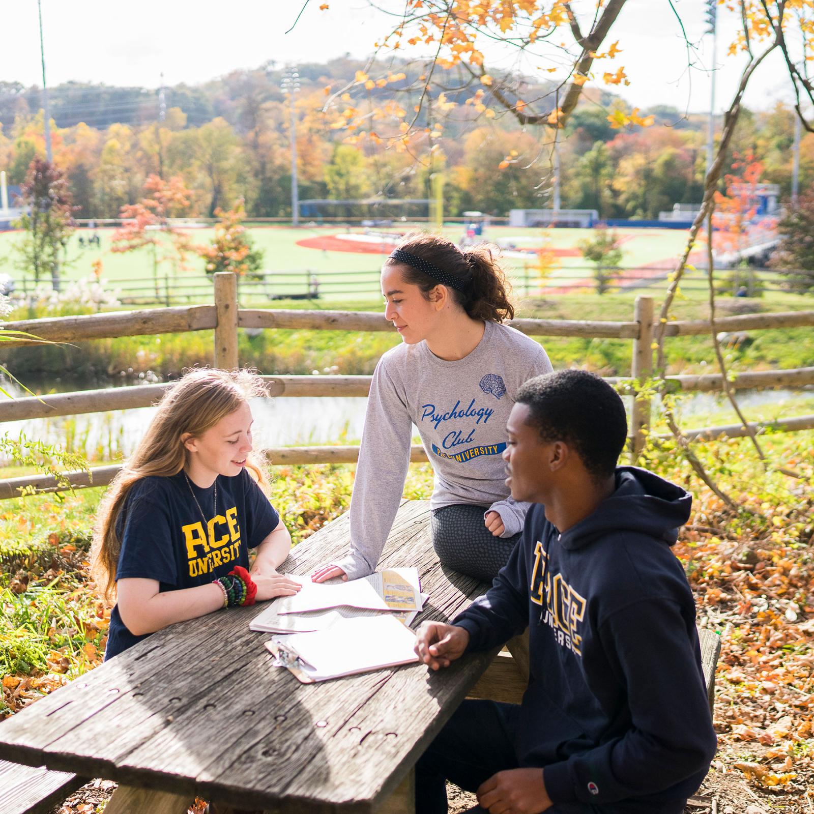 A group of Pace University students sitting at a table at the Suburban Biodiversity Conservation Center