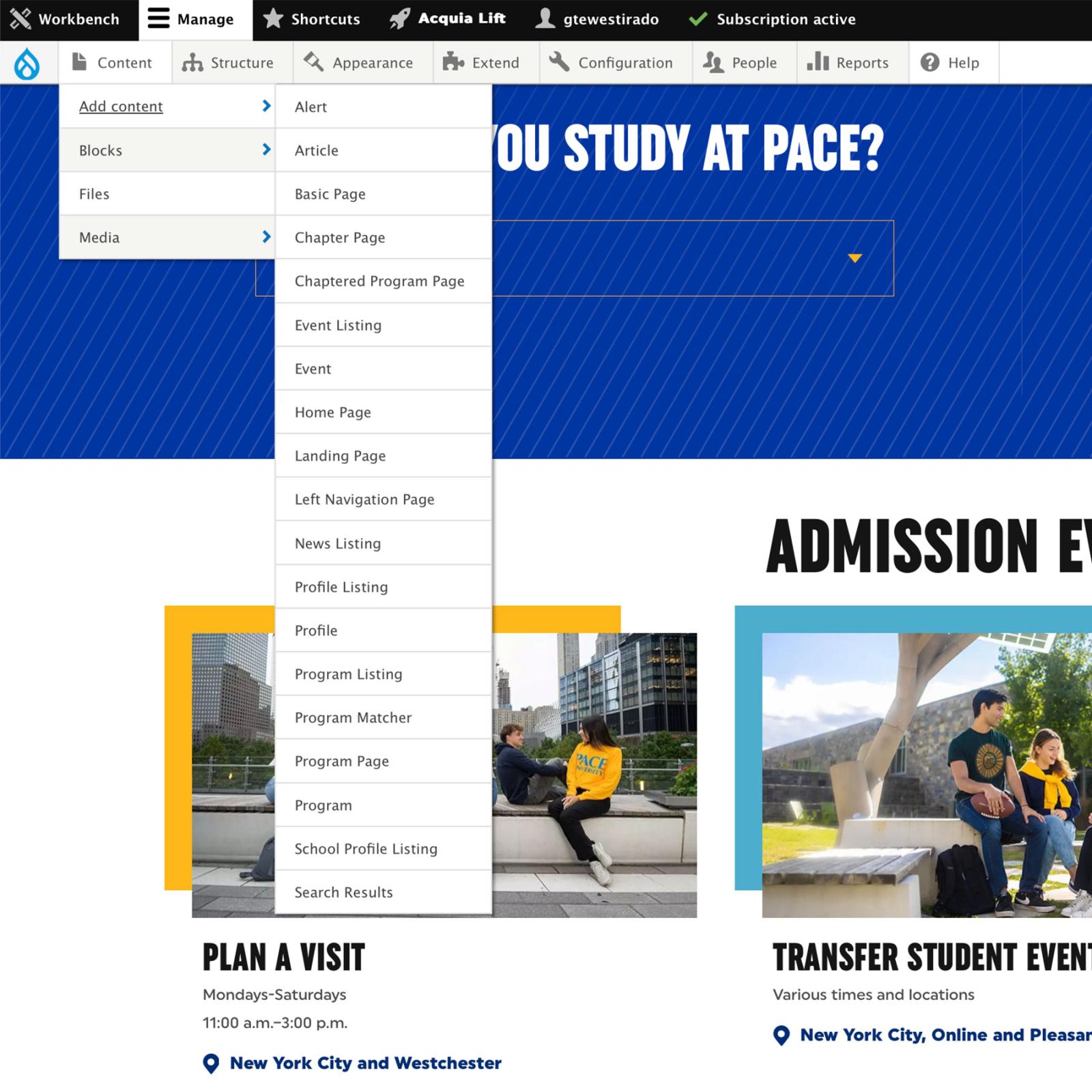Editor adding a content type to a Drupal website.