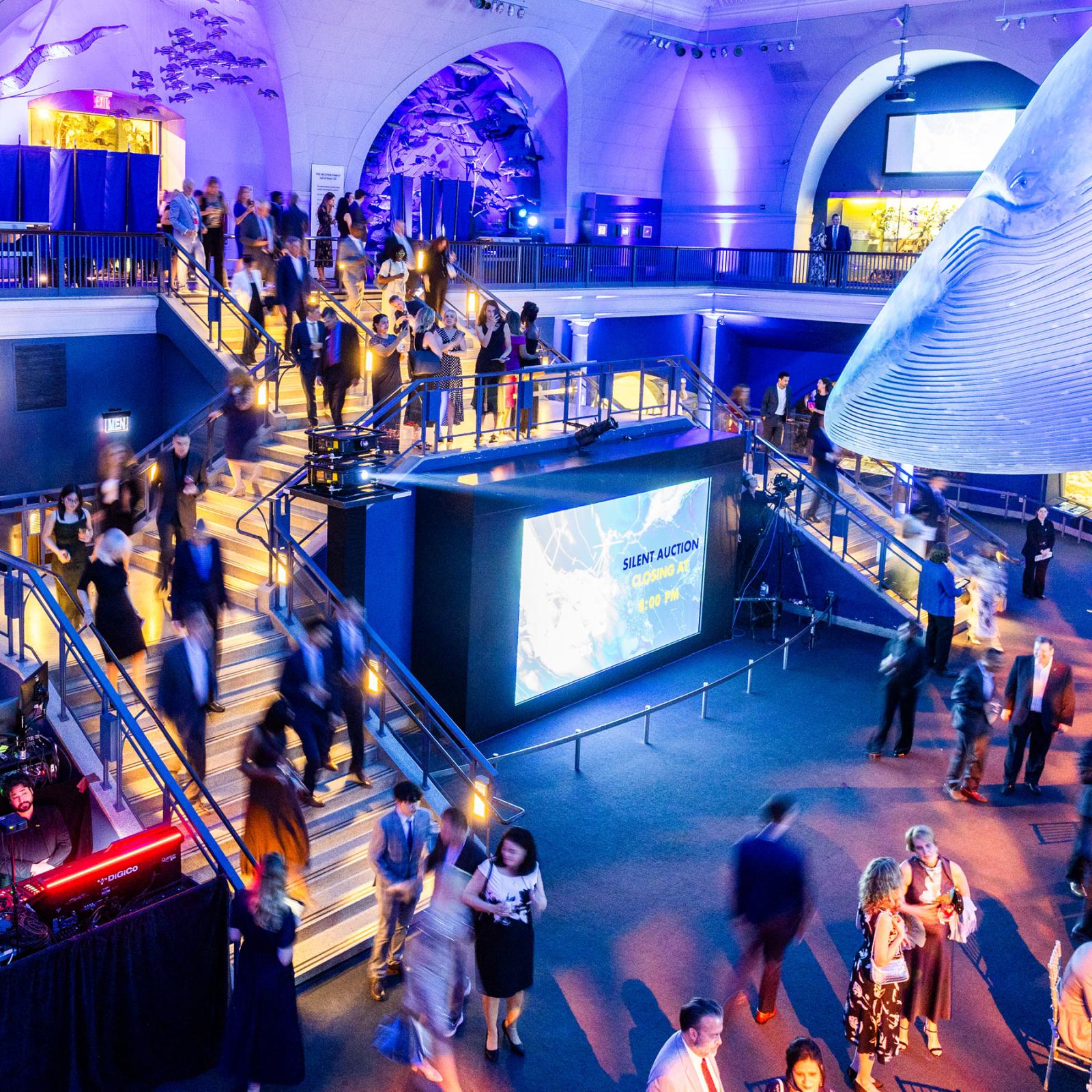 Spirit of Pace Awards gala at the American Museum of Natural History.