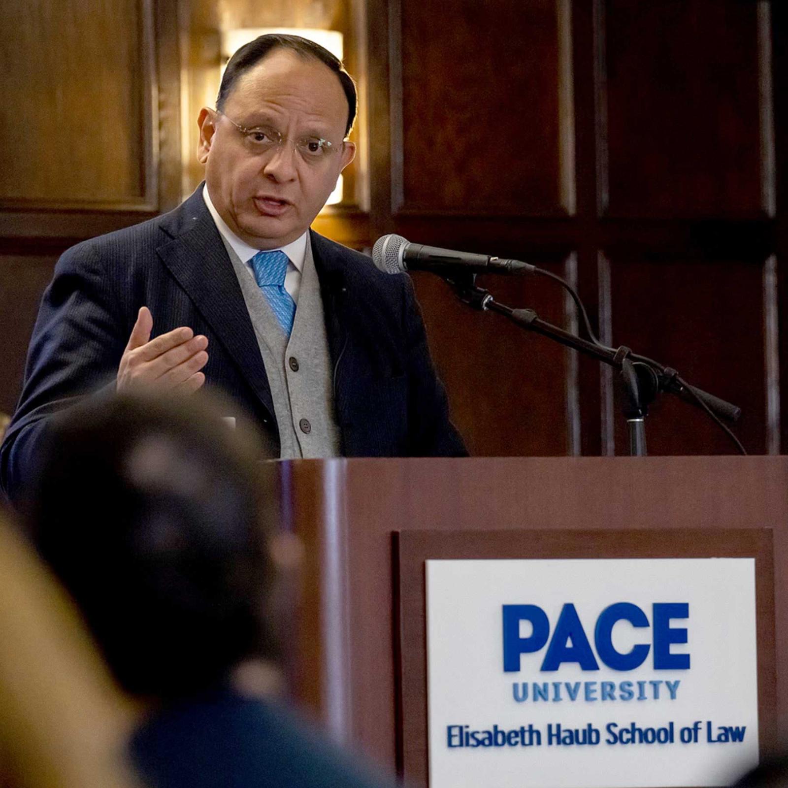 Speaker at an Elisabeth Haub School of Law lecture.
