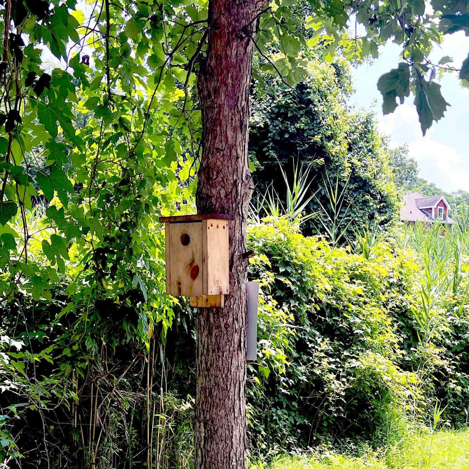 A bird nesting box attached to a tree at the Pace University Conservation Center