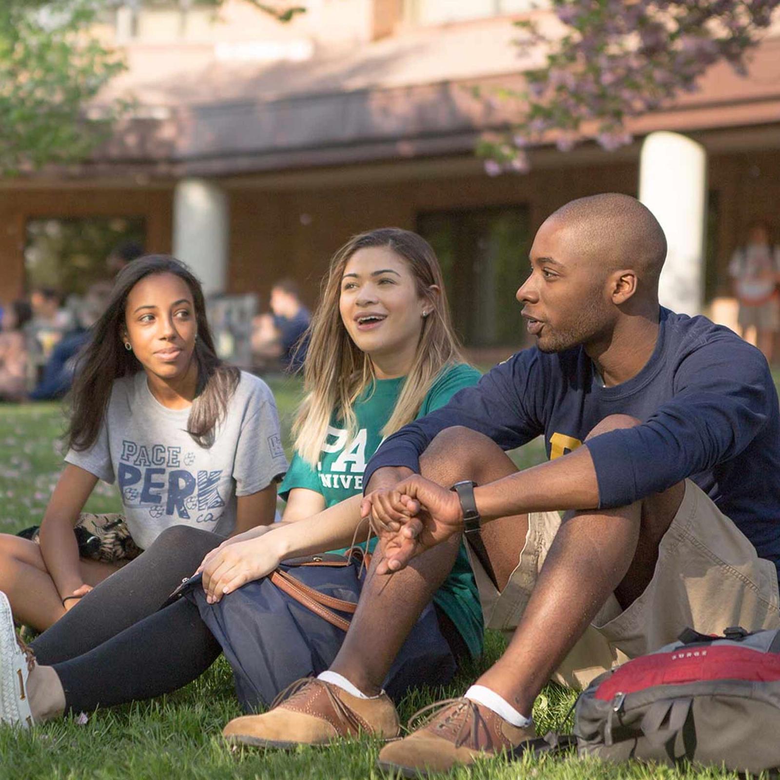 Students talking on lawn