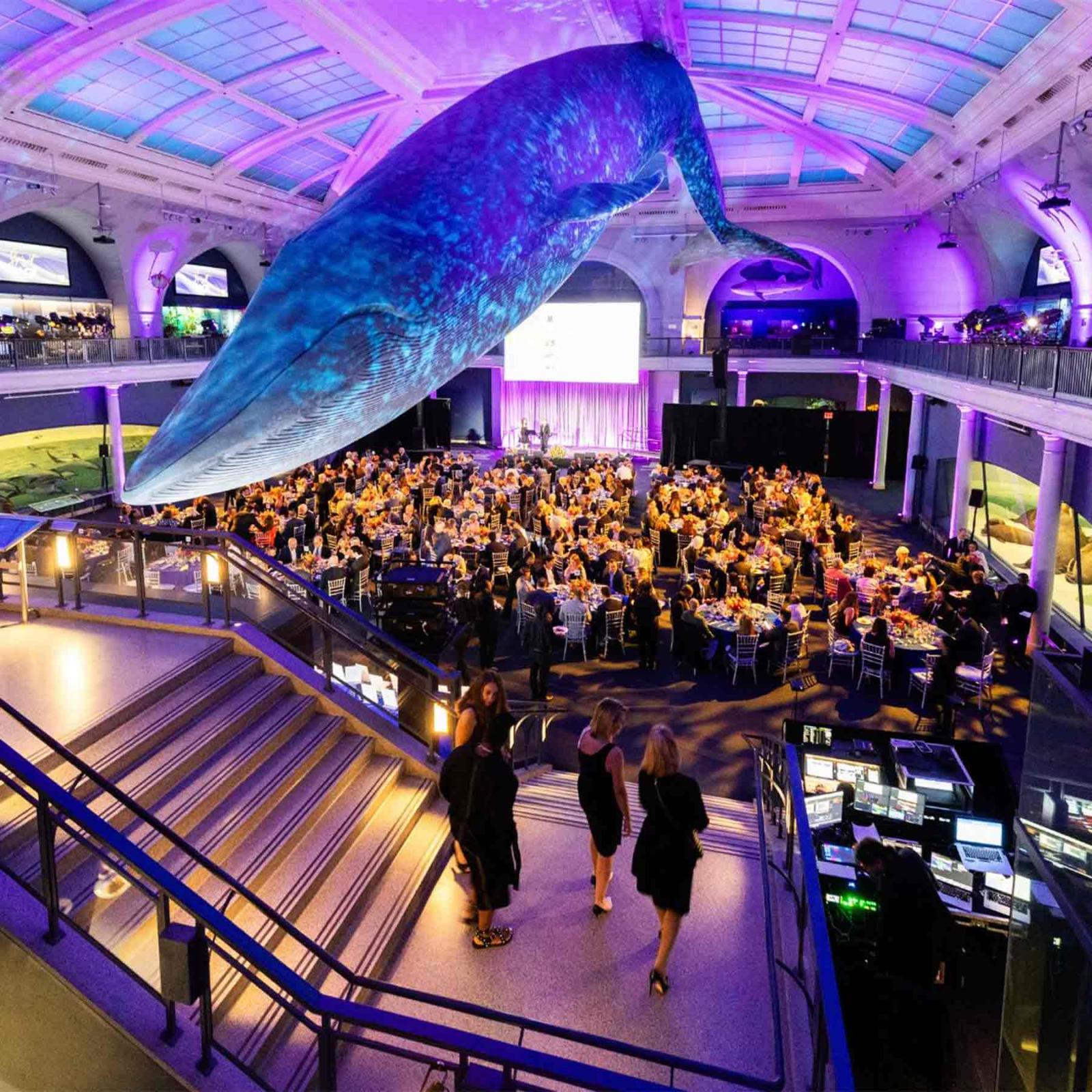 Spirit of Pace Awards Gala