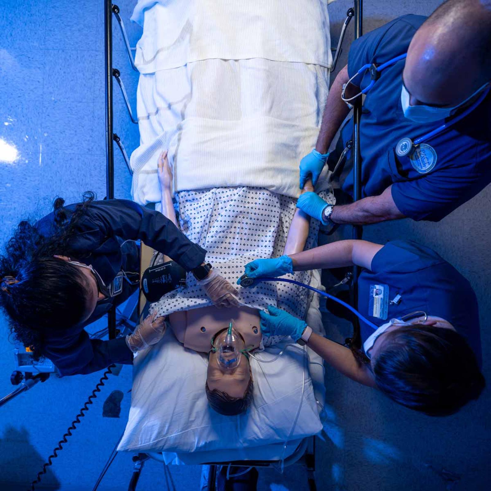 Overhead look at Pace students working on a medical mannekin.