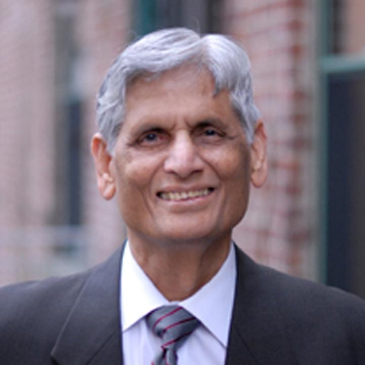 Professor Narendra Bandhari