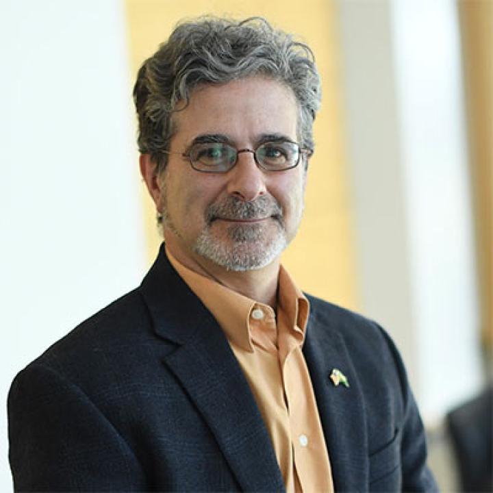 Professor of Law at the Elisabeth Haub School of Law, David N. Cassuto