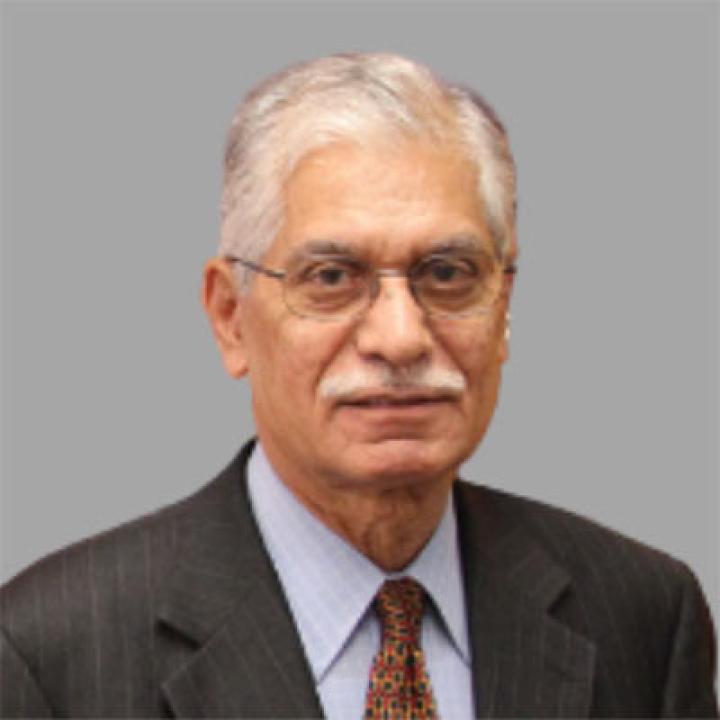 Elisabeth Haub School of Law professor Narinder Kakar