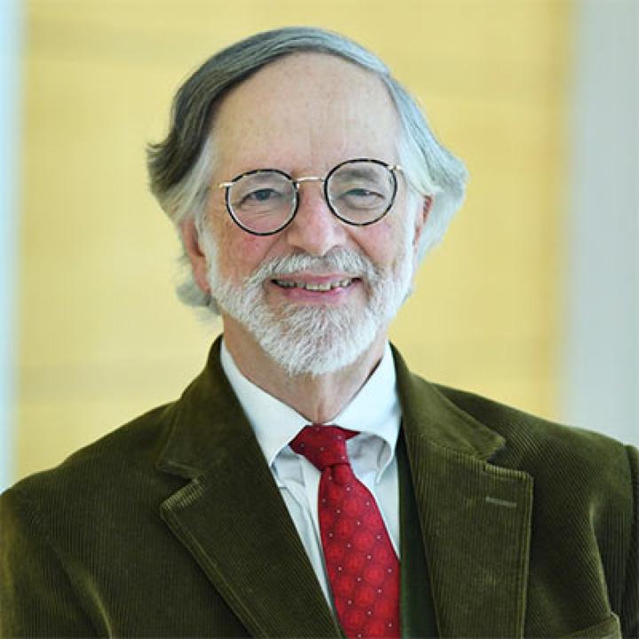 Elisabeth Haub School of Law professor, Nicholas A. Robinson