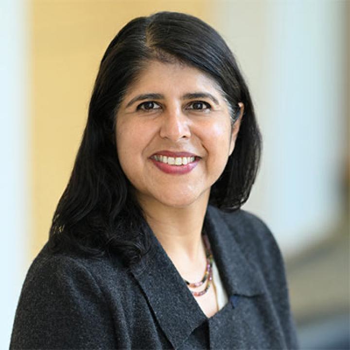 Elisabeth Haub School of Law professor, Smita Narula