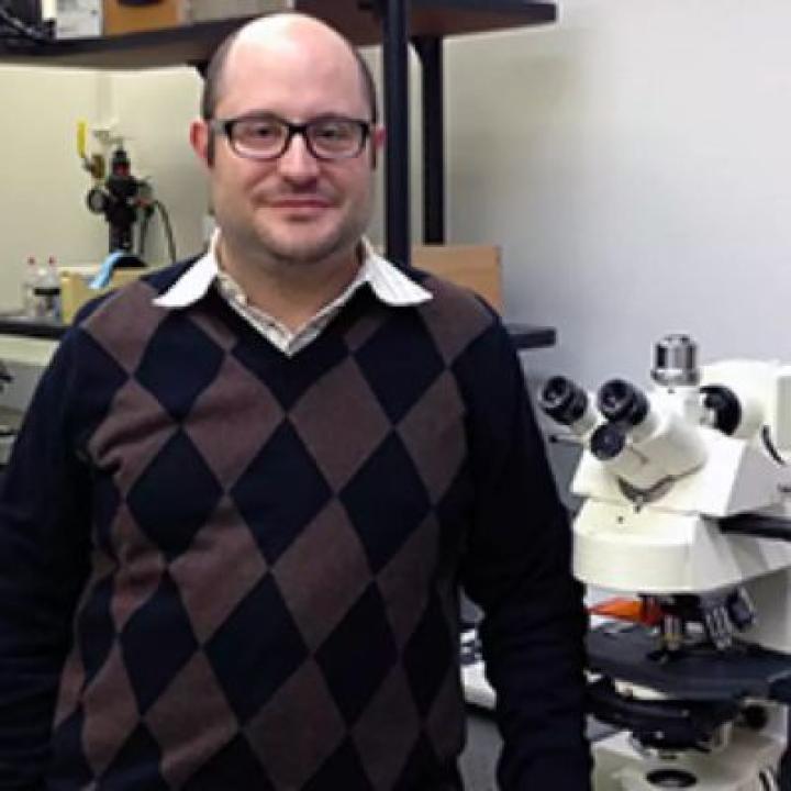 Aaron Steiner, PhD, chair of the Pace University biology department