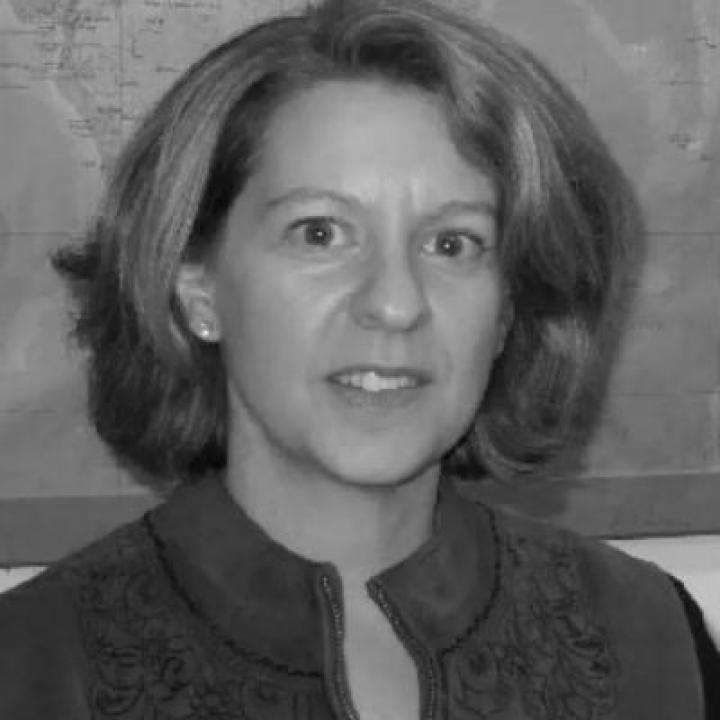 Amy Freedman, PhD, chair of the Pace University political science department