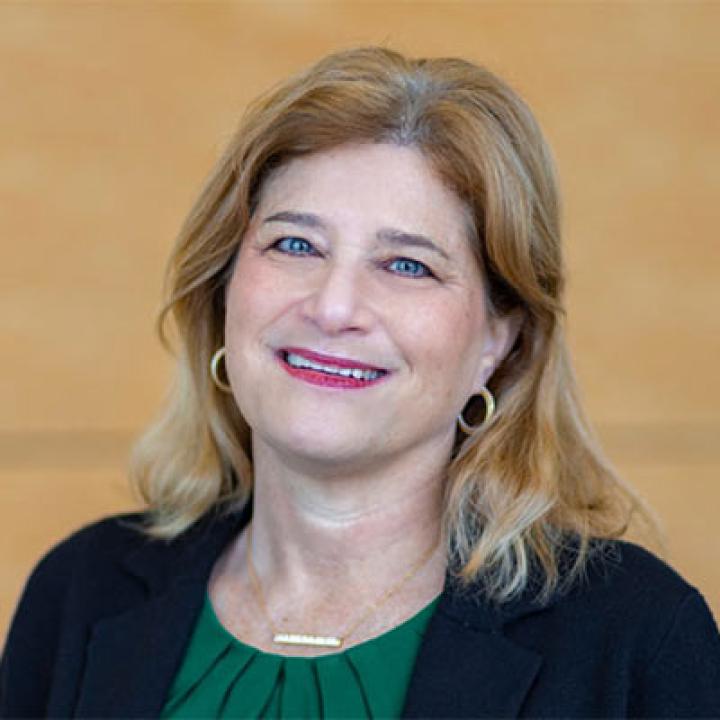 Elisabeth Haub School of Law Professor Jill Gross