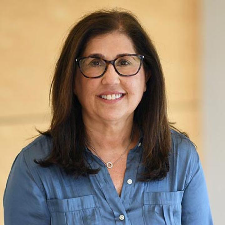 Cindy Kanusher, Esq., Executive Director Women's Justice Center, Elisabeth Haub School of Law at Pace University