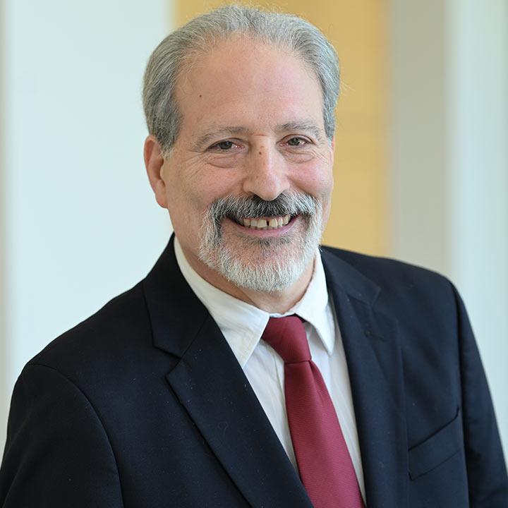 David N. Dorfman, Assistant Professor at the Elisabeth Haub School of Law, David N. Dorfman