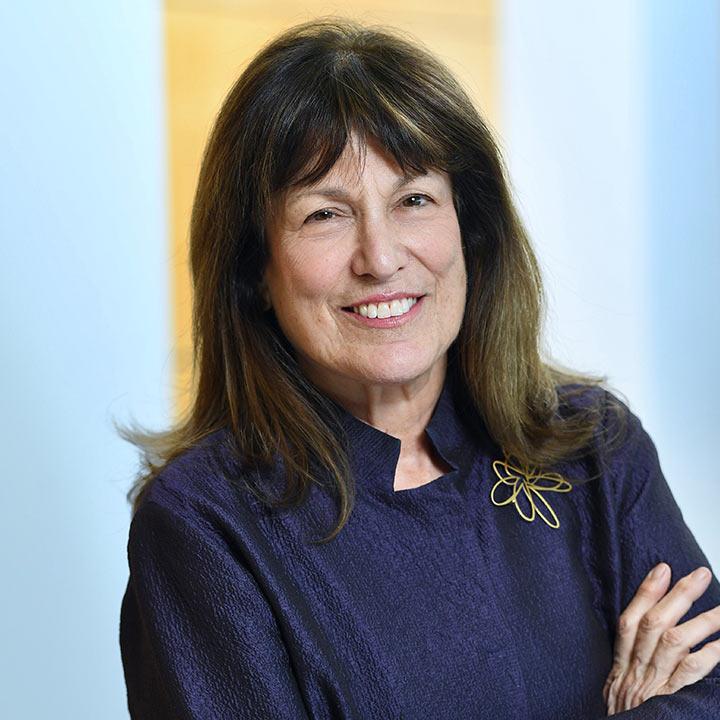 Lissa Griffin, Professor at the Elisabeth Haub School of Law