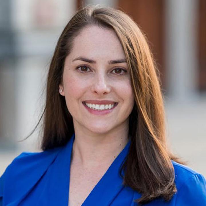 Elizabeth D. Katz, Haub Law emerging scholar