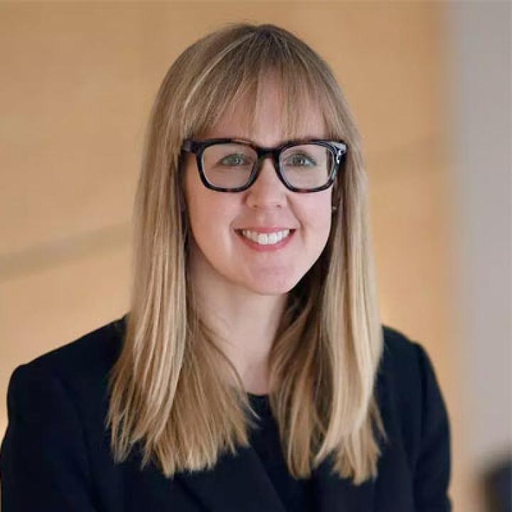  Erin Gleason Alvarez, Faculty Supervisor, Amelia A. Gould Representation in Mediation Clinic