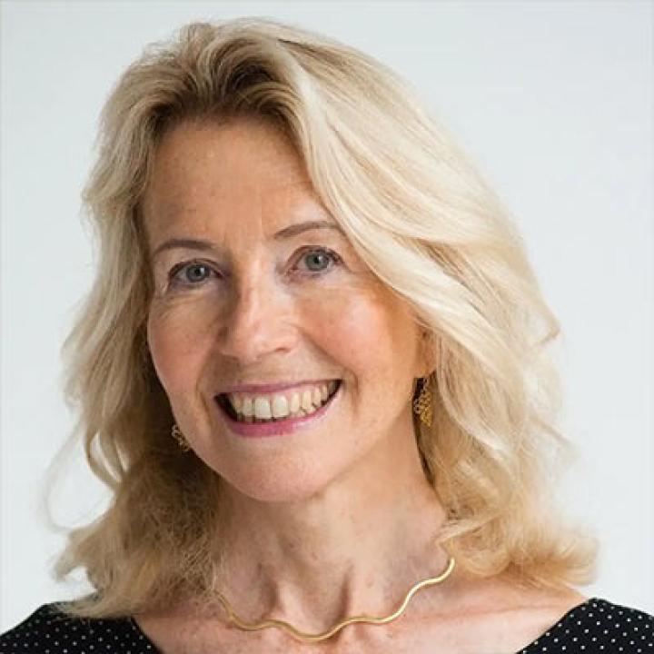 Horatia Muir Watt, Legal Professional