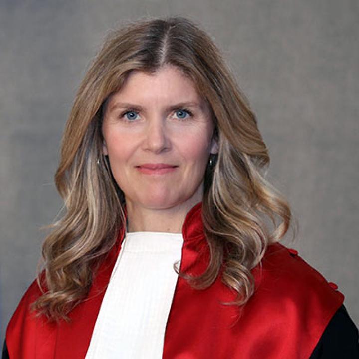 Honorable Margaret deGuzman, Professor and Judge