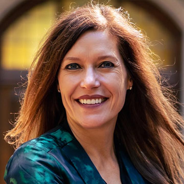 Renée Knake Associate Professor, Michigan State University College of Law