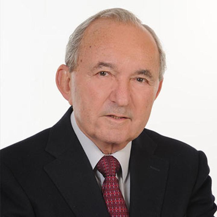 Richard Goldstone, Constitutional Court of South Africa