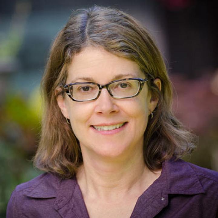 Susan Carle, Professor of Law and Pauline Ruyle Moore Scholar, Washington College of Law