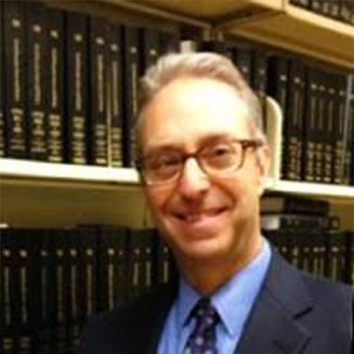 Fredric I. Green, Adjunct Professor at the Elisabeth Haub School of Law