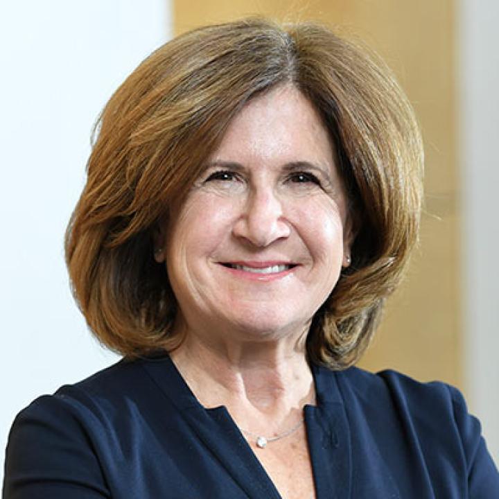 Elisabeth Haub School of Law Professor Leslie Tenzer