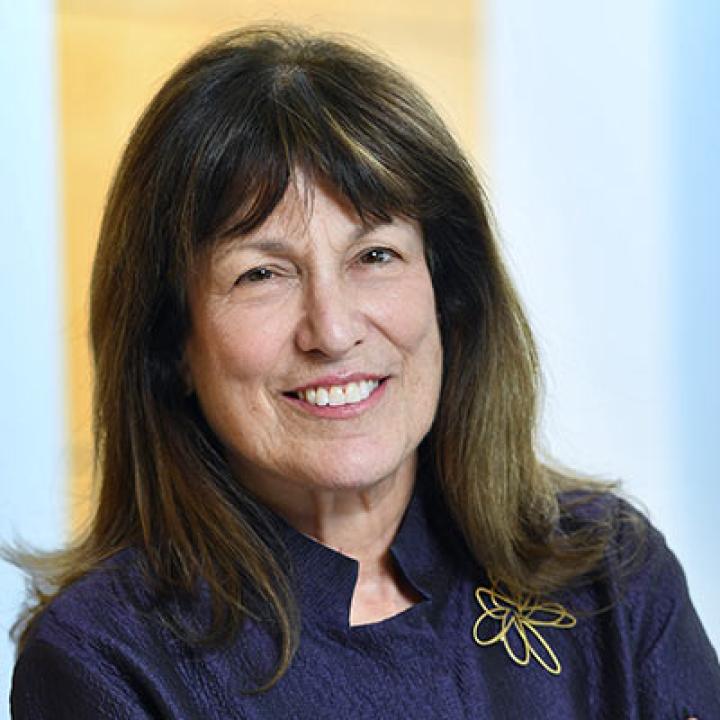 Elisabeth Haub School of Law Haub Law Professor Lissa Griffin