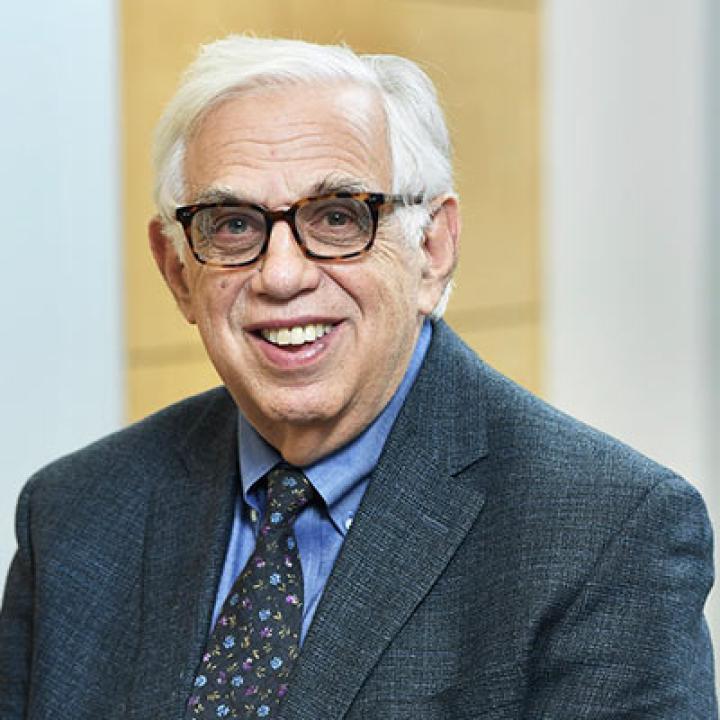 Elisabeth Haub School of Law Professor Michael Mushlin