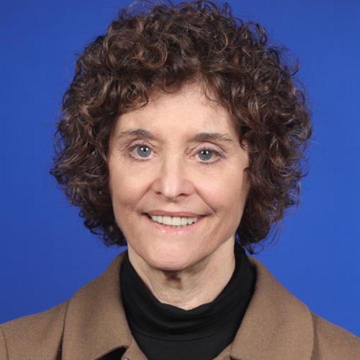 Pace University SOE Professor Francine Falk-Ross