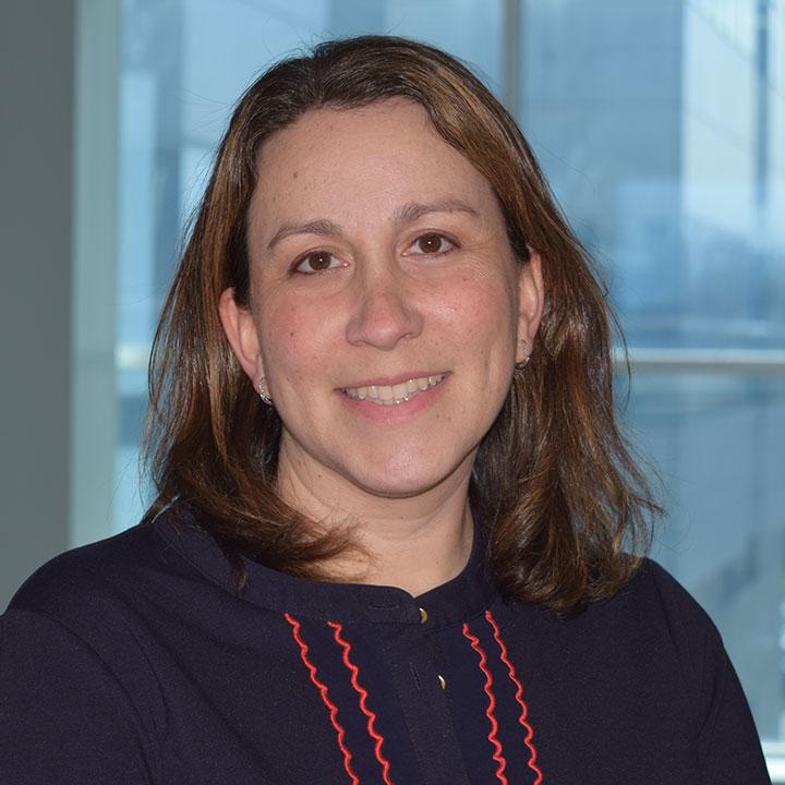 Lauren R. Roth, Associate Professor of Law, Elisabeth Haub School of Law at Pace University
