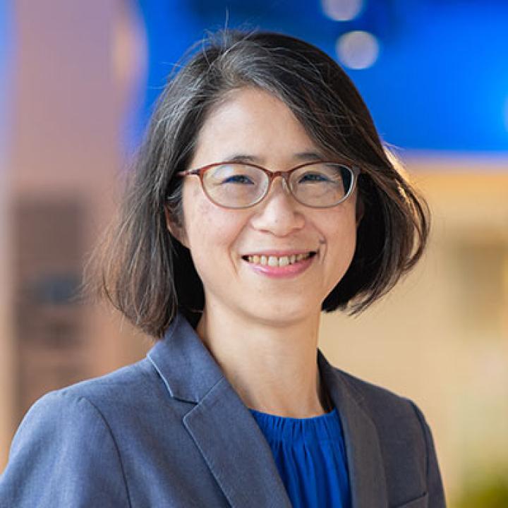 Li-Chiou Chen, PhD, Interim Dean, Seidenberg School of Computer Science and Information Systems