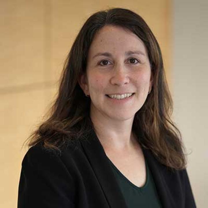 Elisabeth Haub School of Law at Pace University Professor Lauren Roth