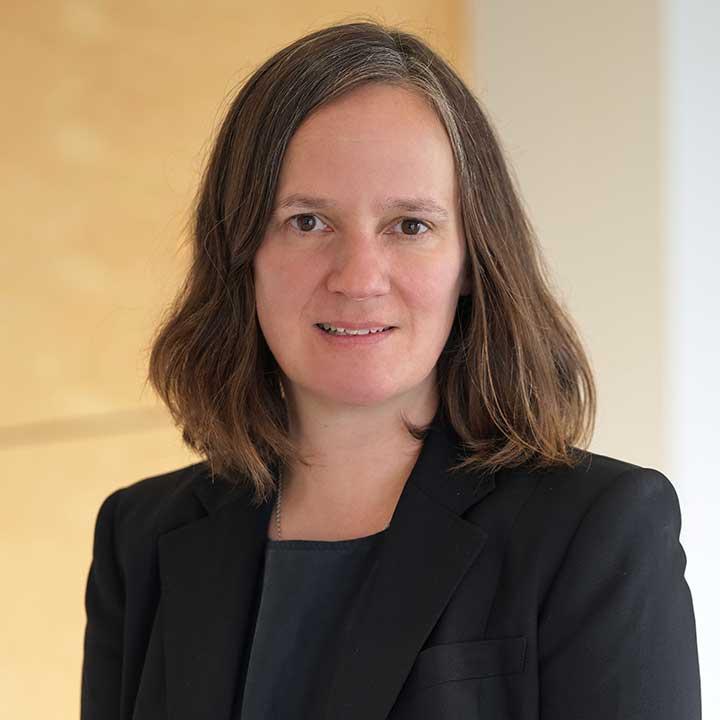 Assistant Professor of Law and Director of the Immigration Justice Clinic, Elisabeth Haub School of Law