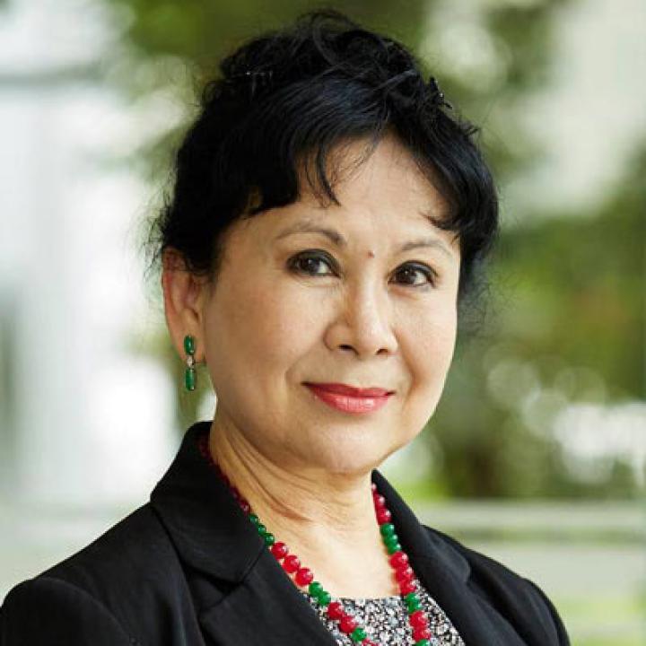 Professr Lye Lin Leng, Haub Award Juror