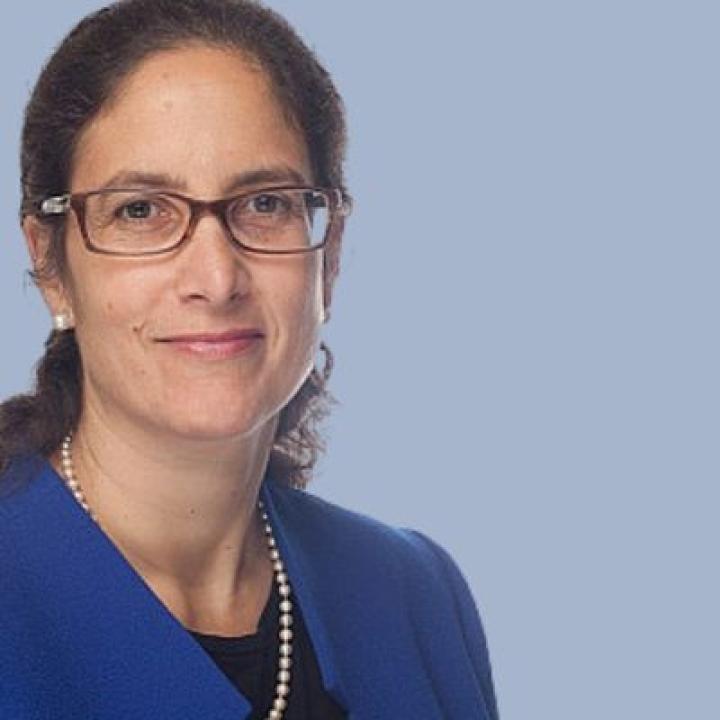 Marianne Engelman-Lado, Elisabeth Haub School of Law Visiting Scholar