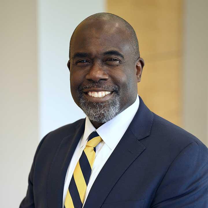 Elisabeth Haub School of Law Dean Horace Anderson