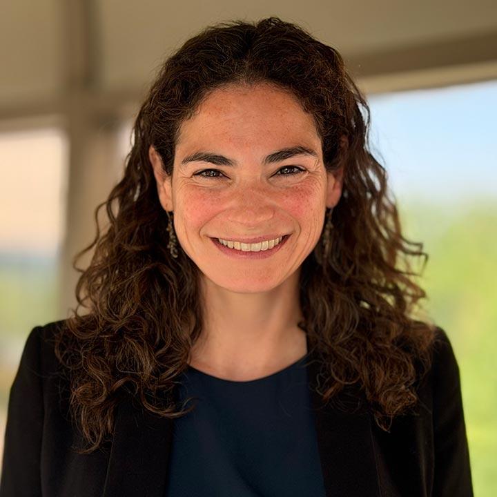 Elisabeth Haub School of Law Professor Allison Pincus