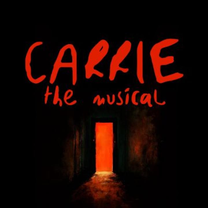 Pace University Sands College of Performing Arts Carrie Production