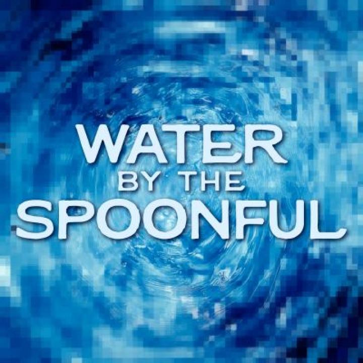 Pace University Sands College of Performing Arts Water by the Spoonful Production