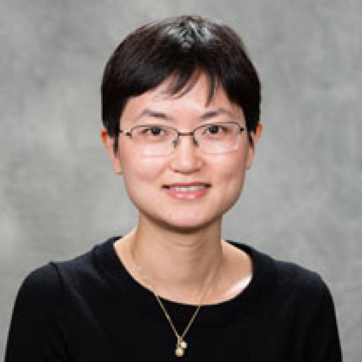 Ping Wang faculty profile